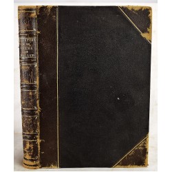 Beauties of the Opera and Ballet